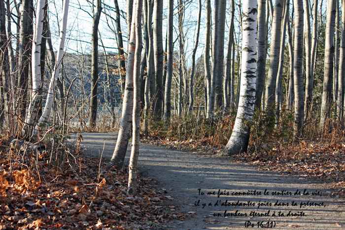 Christian testimony, autobiography and learing; you make known to me the path of life (Psalm 16.11)