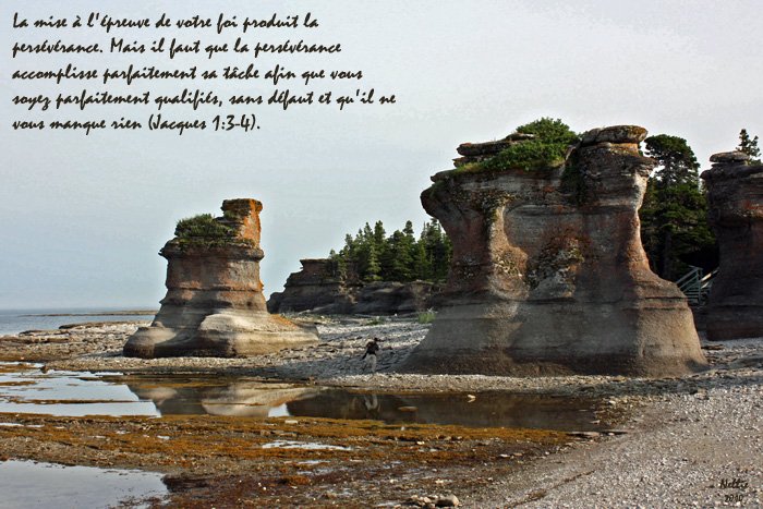 The forgiveness given by Joseph, David and Stephan inspire us to withstand trials (James 1.3-4)
