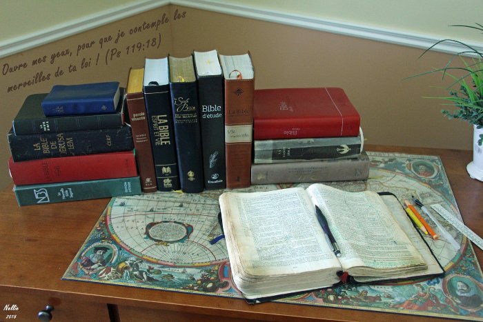 Choosing a Bible Translation