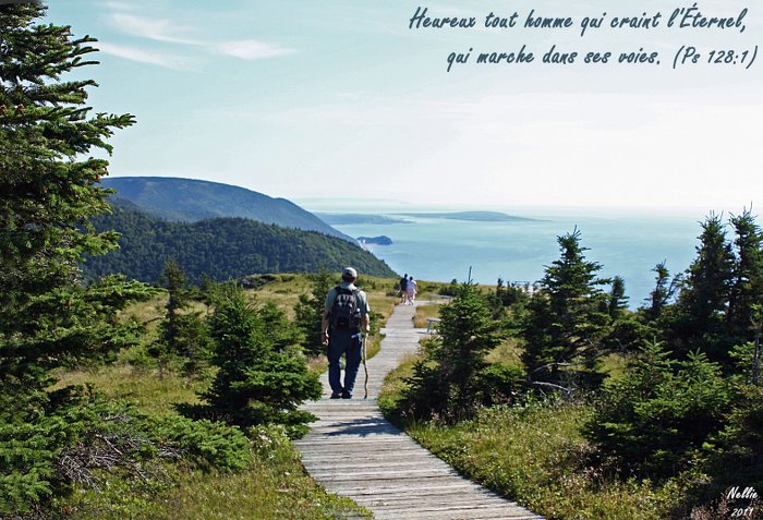 Marcher par l'Esprit ? Heureux tout homme qui craint l'Eternel, qui marche dans ses voies (Ps 128.1) !