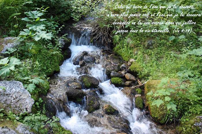 Qui est Jésus-Christ ? Celui qui boira de l'eau que je lui donnerai n'aura plus jamais soif (Jean 4.14, Seg21)