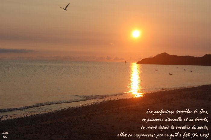 En qui croyons-nous ? Romains 1.20