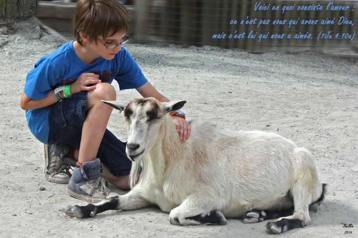 Trusting God’s Love on a Day-to-Day Basis - 1 John 4