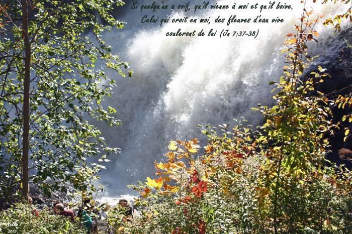 Qui est le Saint-Esprit coulant comme des fleuves d'eau vive de celui qui croit en Jésus (Jean 7.37-39) ?